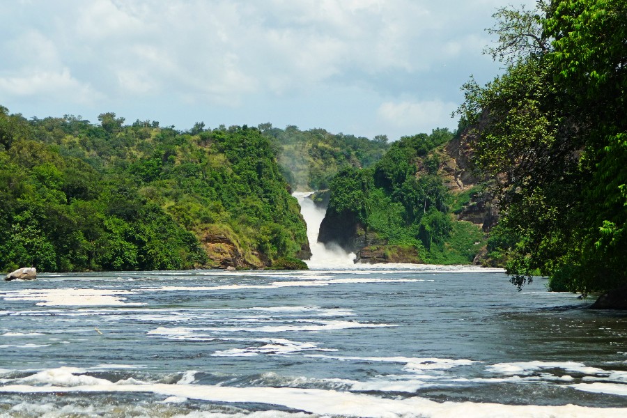 3 Days Special Murchison Falls Safari
