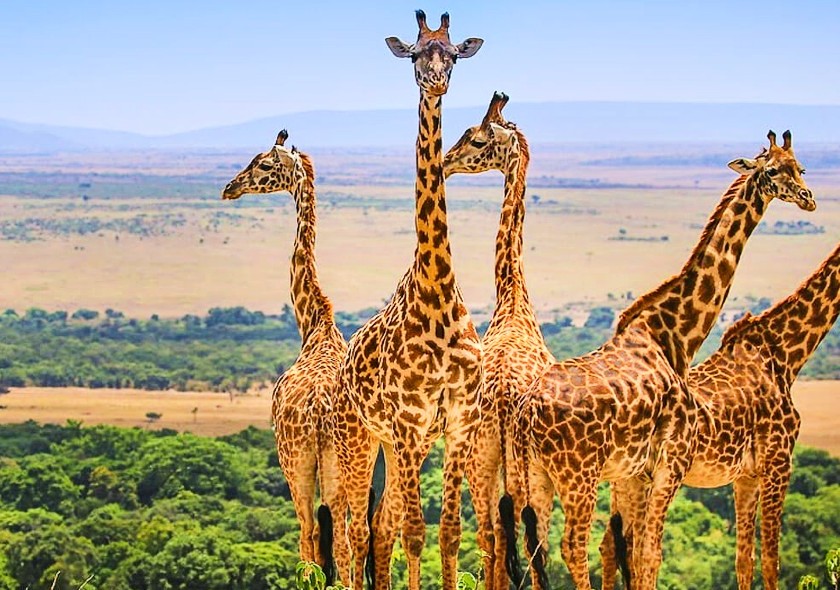Kenya