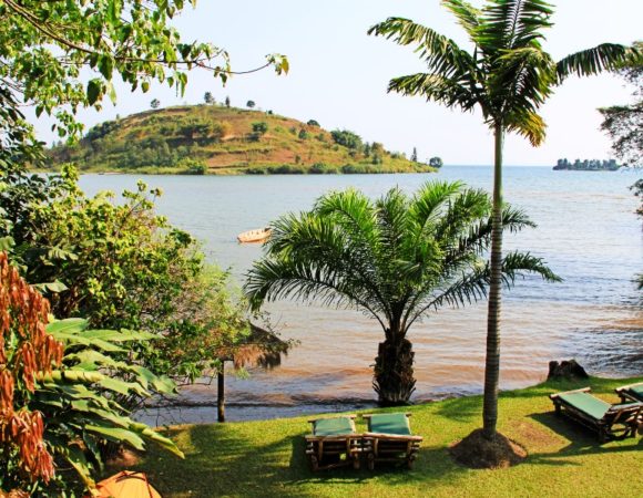 14 Day Uganda and Rwanda combined Safari LUXURY