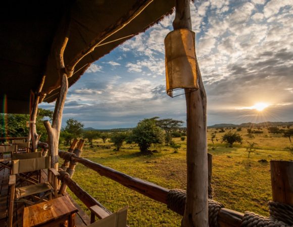 12 Day Highlights of Kenya and Tanzania LUXURY Safari