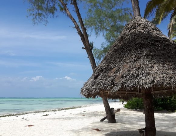 5 Day Zanzibar Pongwe Beach Hotel Luxury