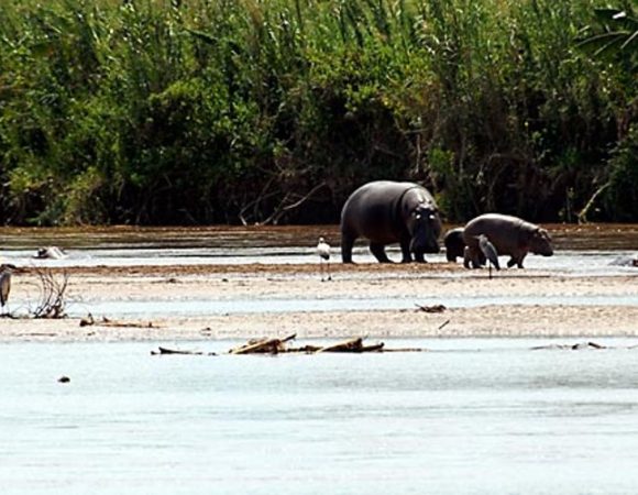 3 Day Burungi Karera Waterfalls and Rusizi MIDRANGE