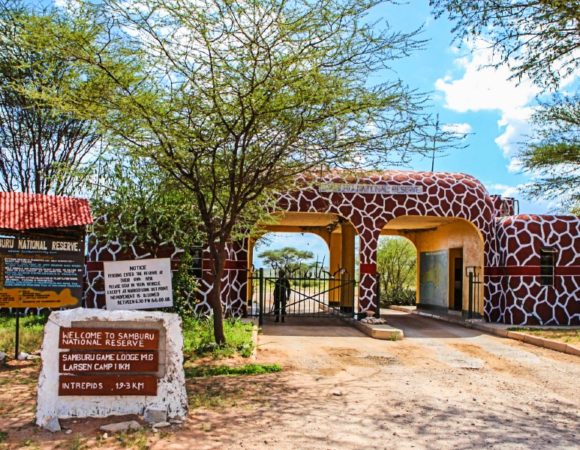 7 Day Kenya Explorer Samburu, Olpajeta, Lake Nakuru, Masai Mara Luxury Safari