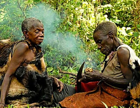12 Day Highlights of Uganda Tour – BUDGET