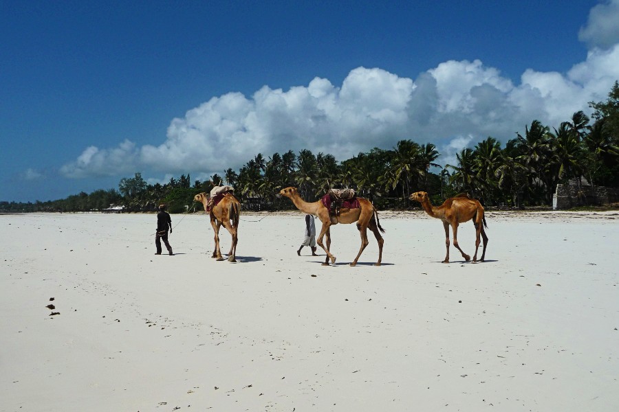 4 Day Mombasa, Kenya Flamboyant Beach 