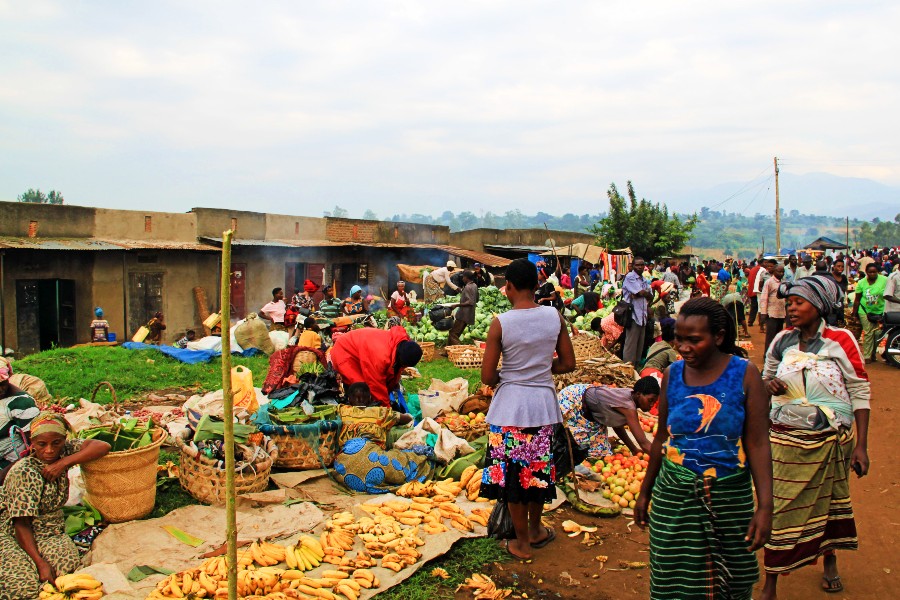 14 Days Uganda & Rwanda-Luxury