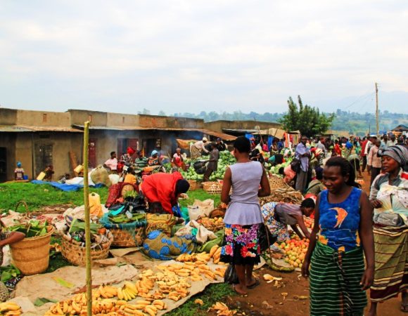 16 Days Best of Uganda including special homestead
